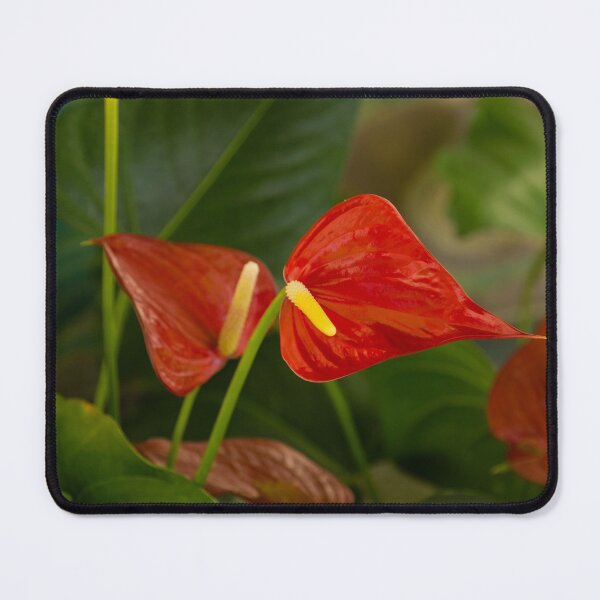 Item preview, Exotic Tropical Dream Garden - Hot Red Hearts and Lush Green designed and sold by Georgia Mizuleva.