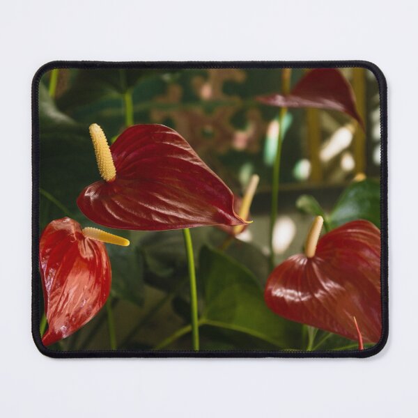 Item preview, Exotic Tropical Dream Garden - Sun Shade and Heart Shaped Anthurium Flowers designed and sold by Georgia Mizuleva.