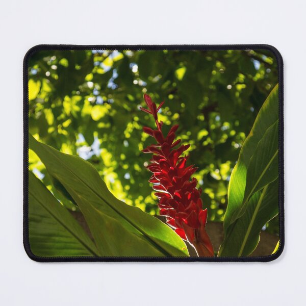 Item preview, Bold Jewel in the Jungle - Red Ginger in Hawaii designed and sold by Georgia Mizuleva.