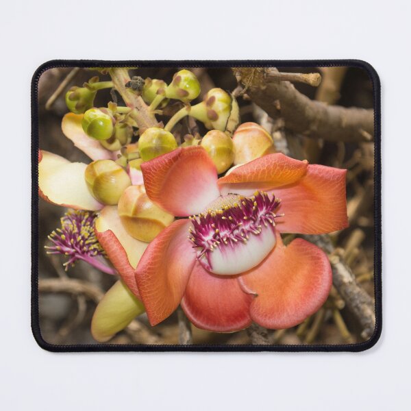 Item preview, Exotic Cannonball Tree Flowers designed and sold by Georgia Mizuleva.