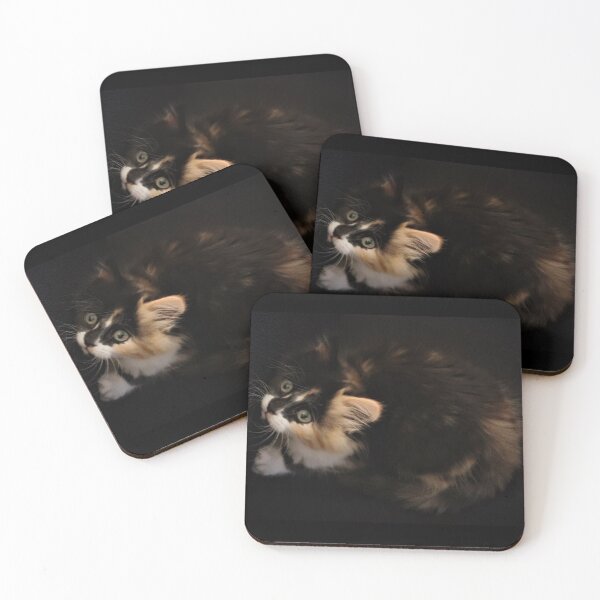 Item preview, Introducing Rocky Racoon designed and sold by Ladymoose.