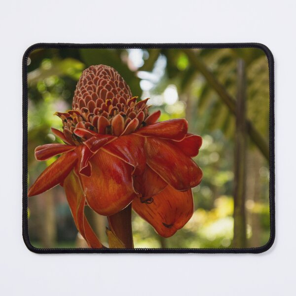 Item preview, Exotic Red Torch Ginger Lily in Hawaii designed and sold by Georgia Mizuleva.