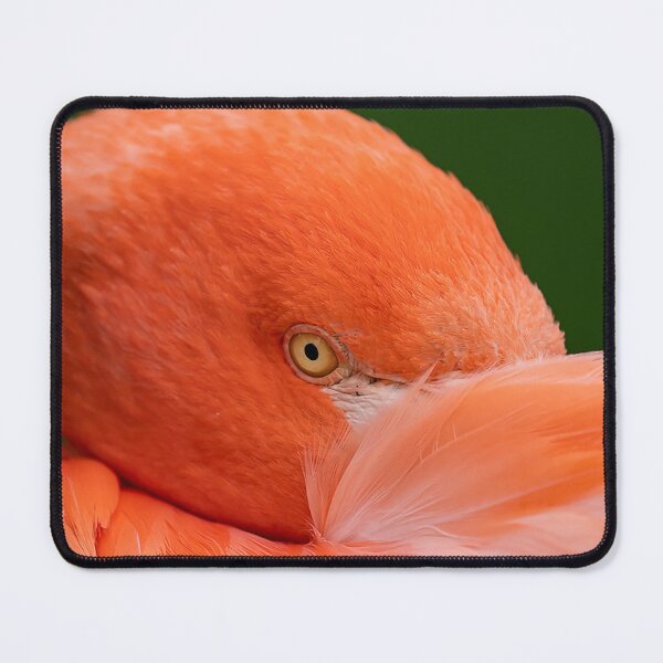 Item preview, The eye of the flamingo designed and sold by Ingo Gerlach.