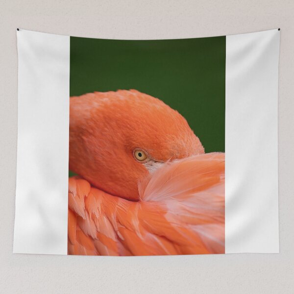 Item preview, The eye of the flamingo designed and sold by Ingo Gerlach.
