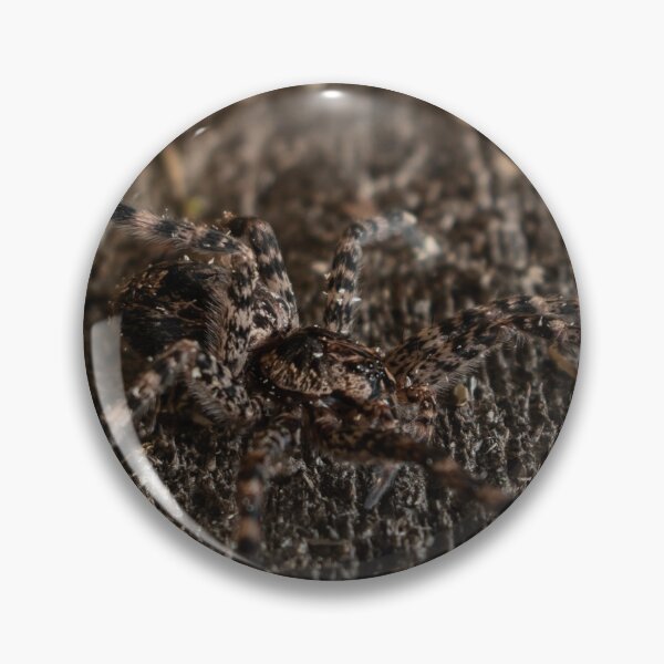 Item preview, solitary wolf spider  designed and sold by R-York.