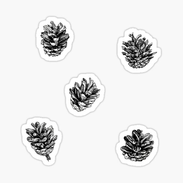 Pinecone & Tree Stickers by Recollections™