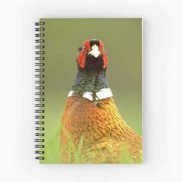 Item preview, The watchful hunting pheasant designed and sold by Ingo Gerlach.