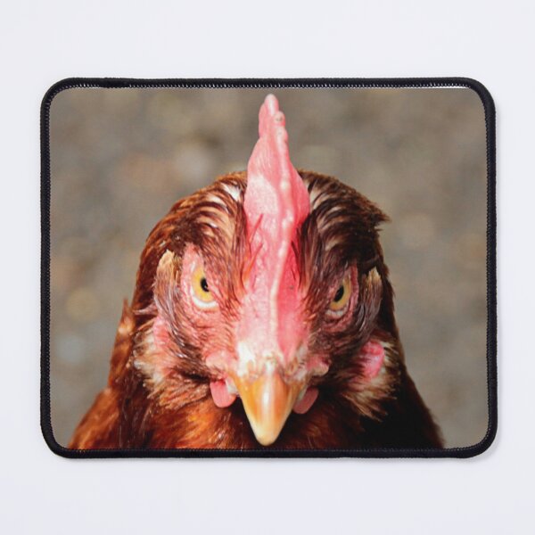 Item preview, Who you callin` chicken! designed and sold by Ladymoose.