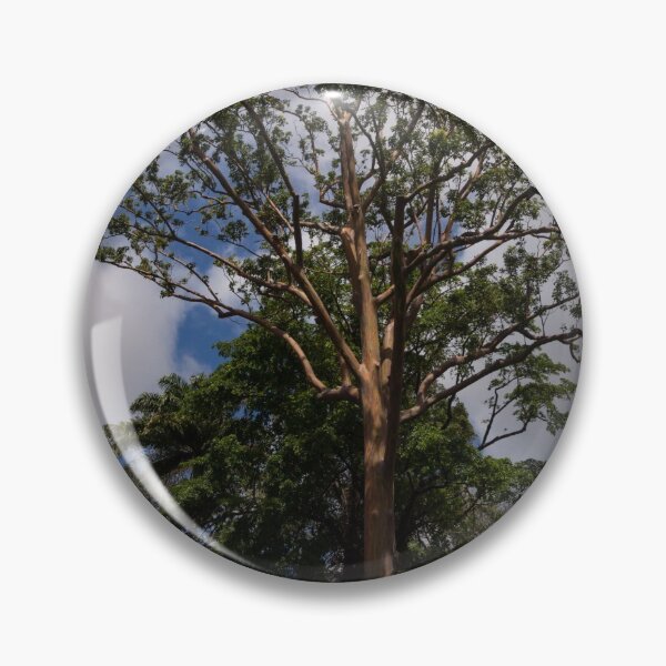 Item preview, Rainbow Eucalyptus - Tall, Proud and Beautiful designed and sold by Georgia Mizuleva.