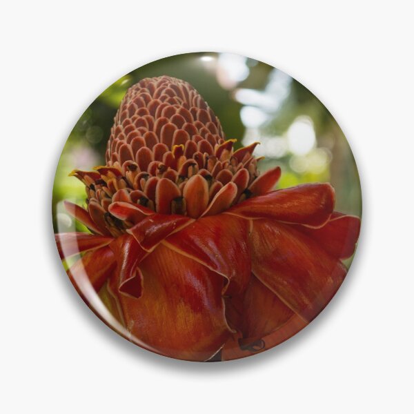 Item preview, Exotic Red Torch Ginger Lily in Hawaii designed and sold by Georgia Mizuleva.