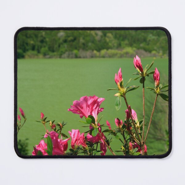 Item preview, Furnas, Azores islands designed and sold by Gaspar Avila.