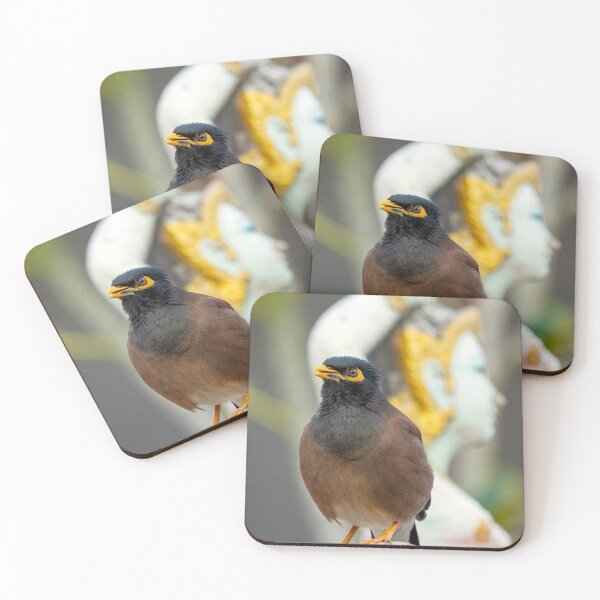 Item preview, Common myna designed and sold by troianifabrizio.