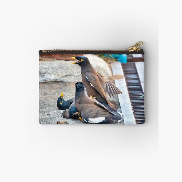 Item preview, Common myna designed and sold by troianifabrizio.