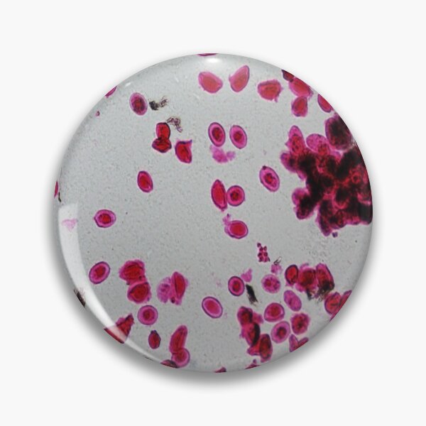 Item preview, Ascaris Egg W.M. designed and sold by CellsOfWorld.