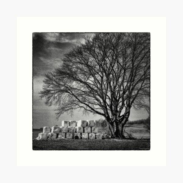 Harvest time Art Print