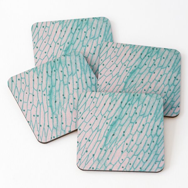 Item preview, Allium Seale Epidermis designed and sold by CellsOfWorld.
