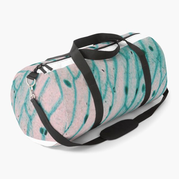 Item preview, Allium Seale Epidermis designed and sold by CellsOfWorld.