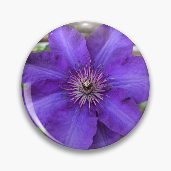 Item preview, Purple Clematis designed and sold by KMHPhotography.