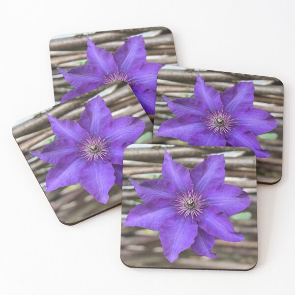 Item preview, Purple Clematis designed and sold by KMHPhotography.