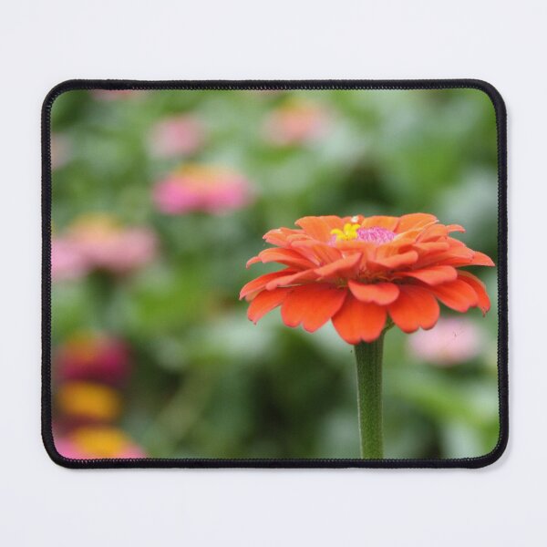 Item preview, Orange Crush designed and sold by Vanessa Barklay.