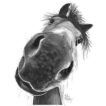 Aperçu de l'œuvre IMPRESSION DE CHEVAL HEUREUX « BuRT B&W » PAR SHIRLEY MACARTHUR de Shirley MacArthur Limited
