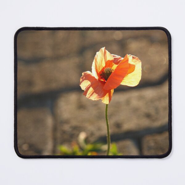 Item preview, Poppy blooming designed and sold by Gaspar Avila.