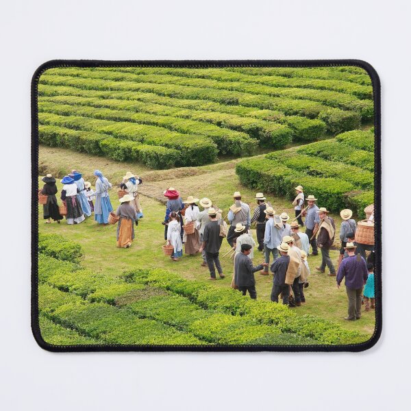 Item preview, Working in the tea gardens designed and sold by Gaspar Avila.