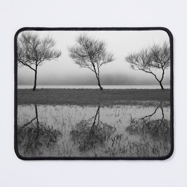 Item preview, Three trees designed and sold by Gaspar Avila.