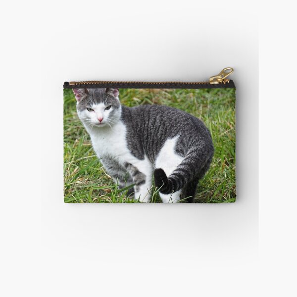 Item preview, Ringtailed Kitty..........East Devon UK designed and sold by lynn carter.