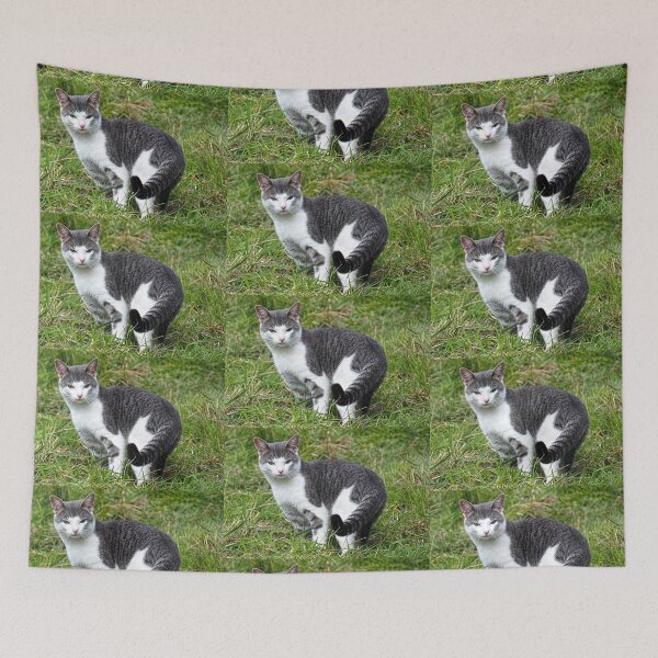Item preview, Ringtailed Kitty..........East Devon UK designed and sold by lynn carter.