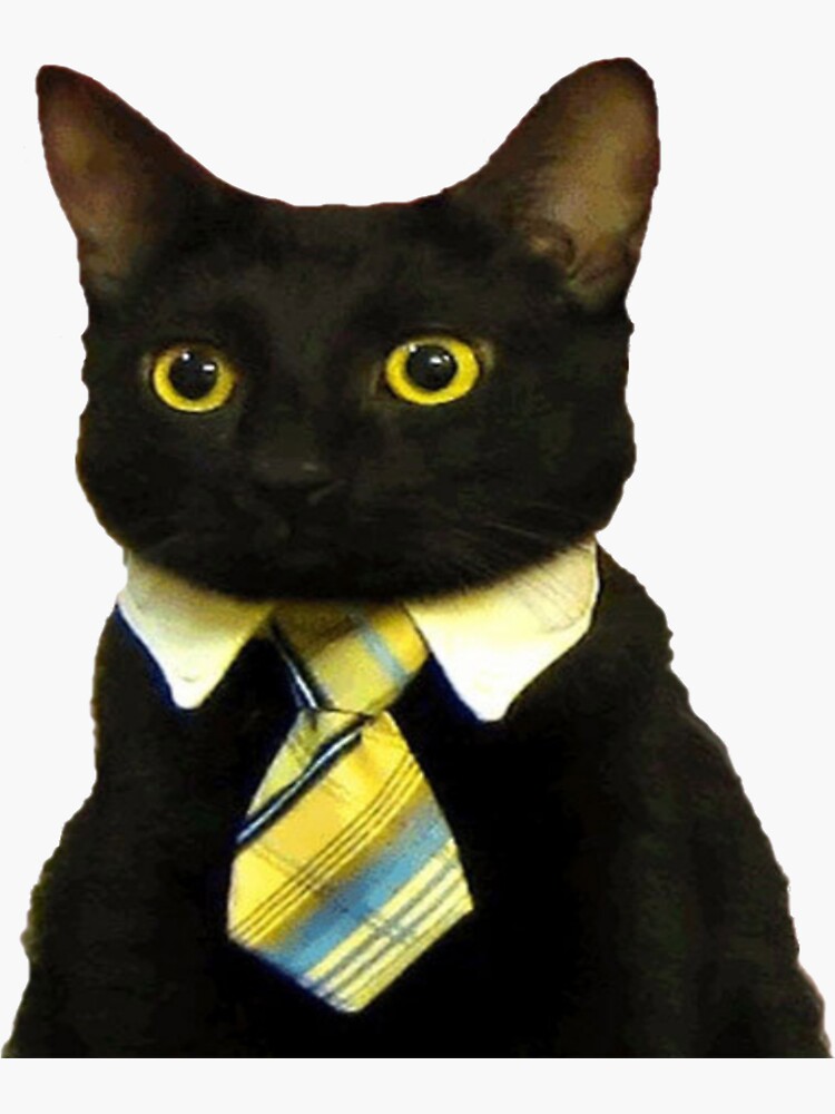 Business Cat Meme Blank Sticker For Sale By Mr Leblanc80 Redbubble