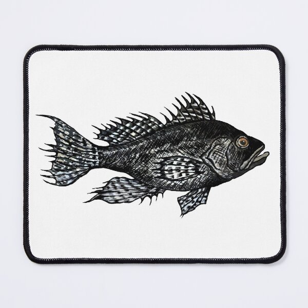 Item preview, Black Sea Bass Illustration designed and sold by Michelebuttons.