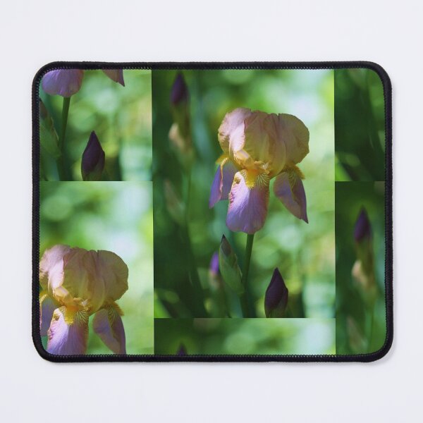 Item preview, Bearded Iris study 1 designed and sold by chstudios.