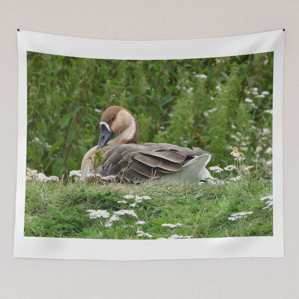Item preview, A Beautiful Swan Goose designed and sold by Karen Thomson.