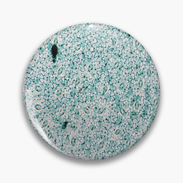 Item preview, Vicia Dicot Leaf W.M.  designed and sold by CellsOfWorld.