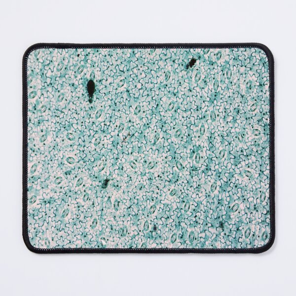 Item preview, Vicia Dicot Leaf W.M.  designed and sold by CellsOfWorld.