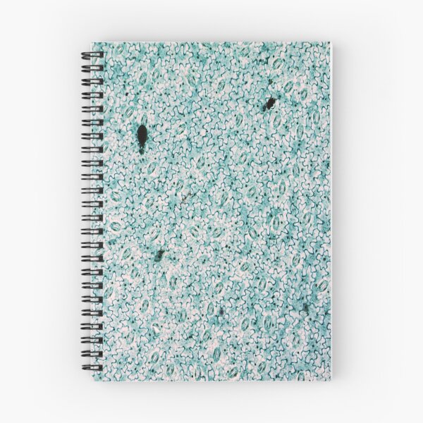 Item preview, Vicia Dicot Leaf W.M.  designed and sold by CellsOfWorld.
