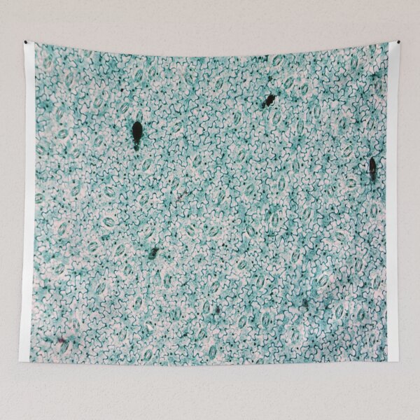 Item preview, Vicia Dicot Leaf W.M.  designed and sold by CellsOfWorld.