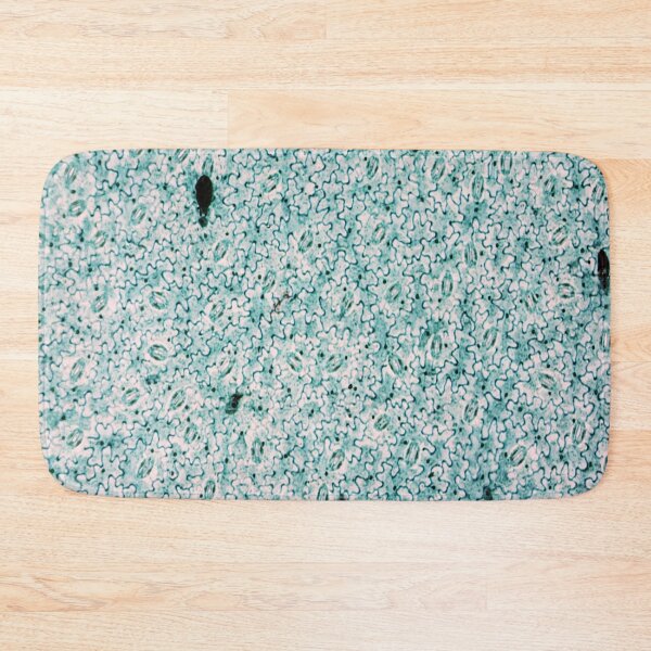 Item preview, Vicia Dicot Leaf W.M.  designed and sold by CellsOfWorld.