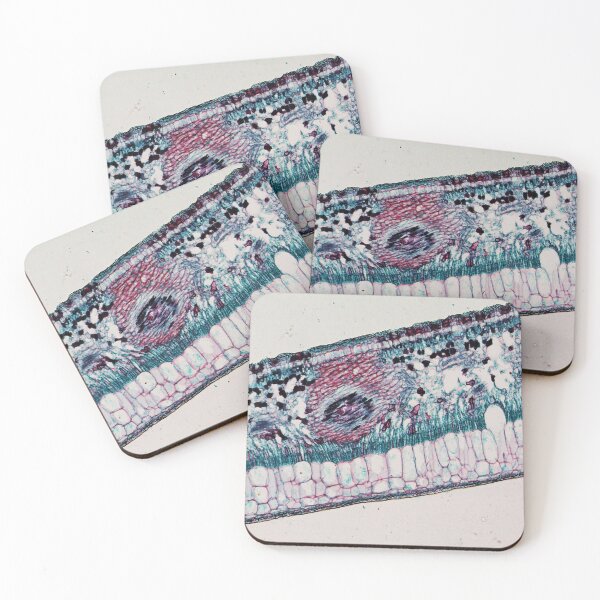 Item preview, Rubber Leaf  designed and sold by CellsOfWorld.