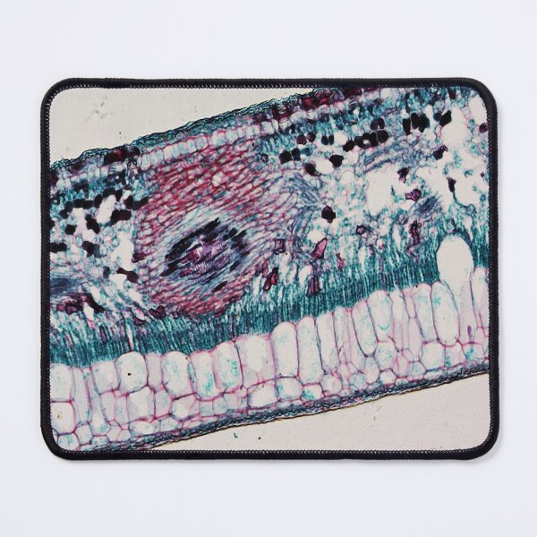 Item preview, Rubber Leaf  designed and sold by CellsOfWorld.