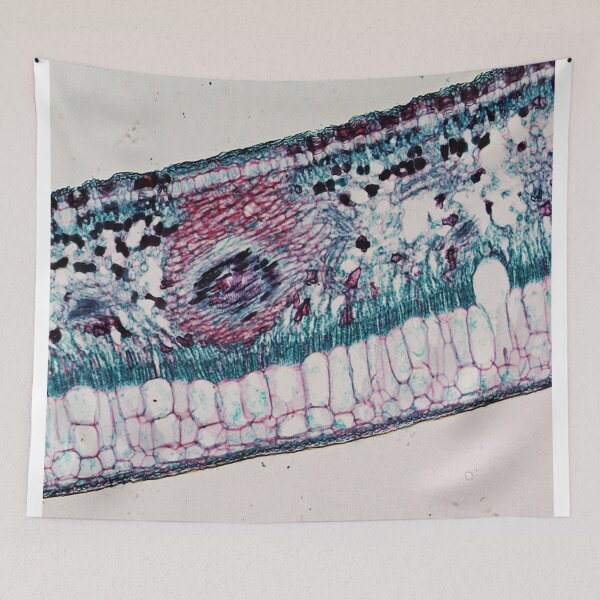 Item preview, Rubber Leaf  designed and sold by CellsOfWorld.