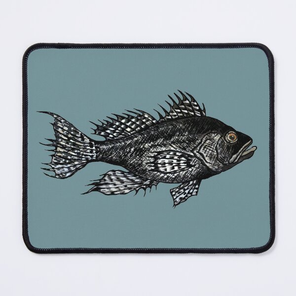 Item preview, Black Sea Bass Drawing in muted turquoise designed and sold by Michelebuttons.