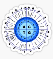 DNA, Genetic Code, Circle, Gene, Codon, Amino Acid, Sticker