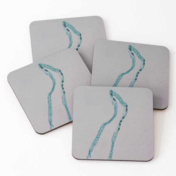 Item preview, Spirogyra Conjugation  designed and sold by CellsOfWorld.