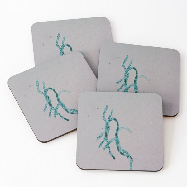 Item preview, Spirogyra Conjugation designed and sold by CellsOfWorld.