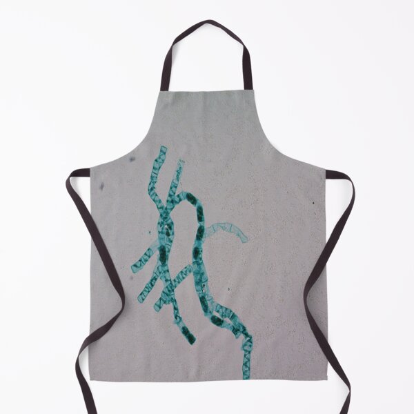 Item preview, Spirogyra Conjugation designed and sold by CellsOfWorld.