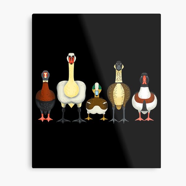 Tardigrade Designs Ducks Metal Print