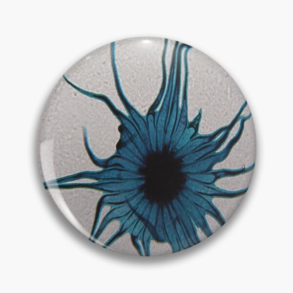 Item preview, Stellato-Pilosus  designed and sold by CellsOfWorld.