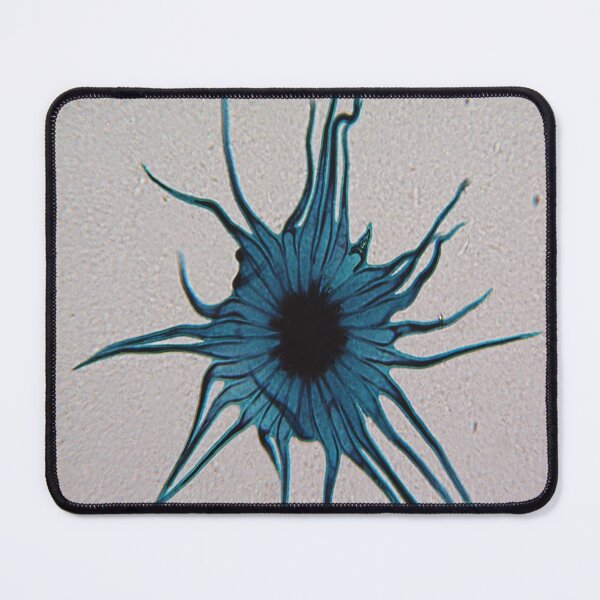 Item preview, Stellato-Pilosus  designed and sold by CellsOfWorld.